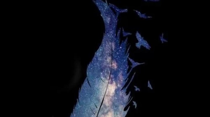 【2025-4-22 21点场】拓海不吃豆腐:排水渠过弯呀