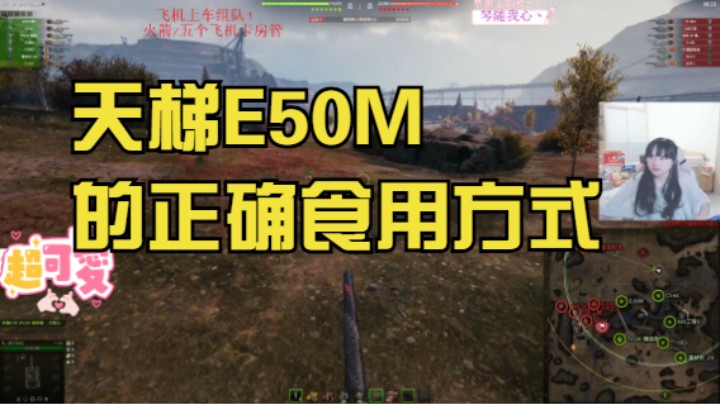 坦克世界：天梯E50M的正确食用方式！！