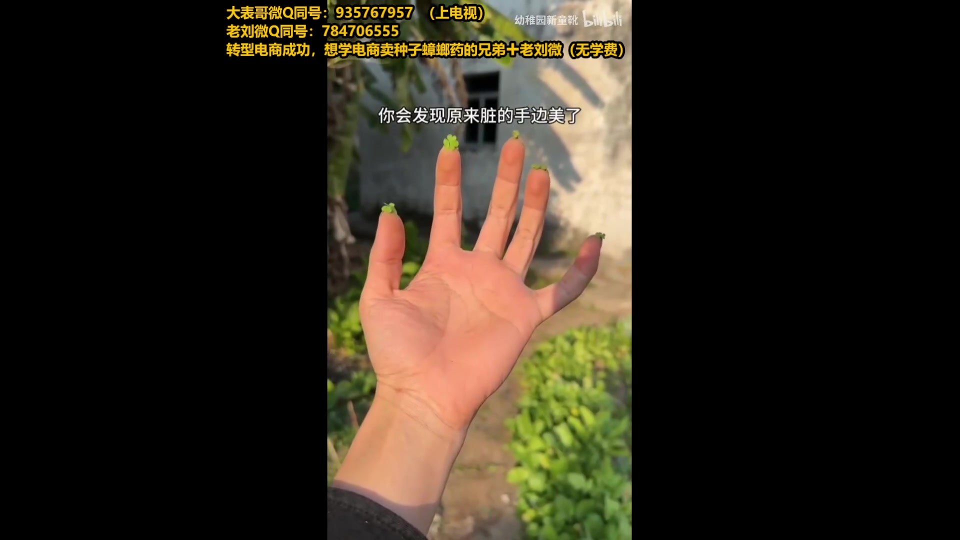 【2025-04-27 12点场】旋转的老刘诺手：第一诺手 青龙刀诺手战神！
