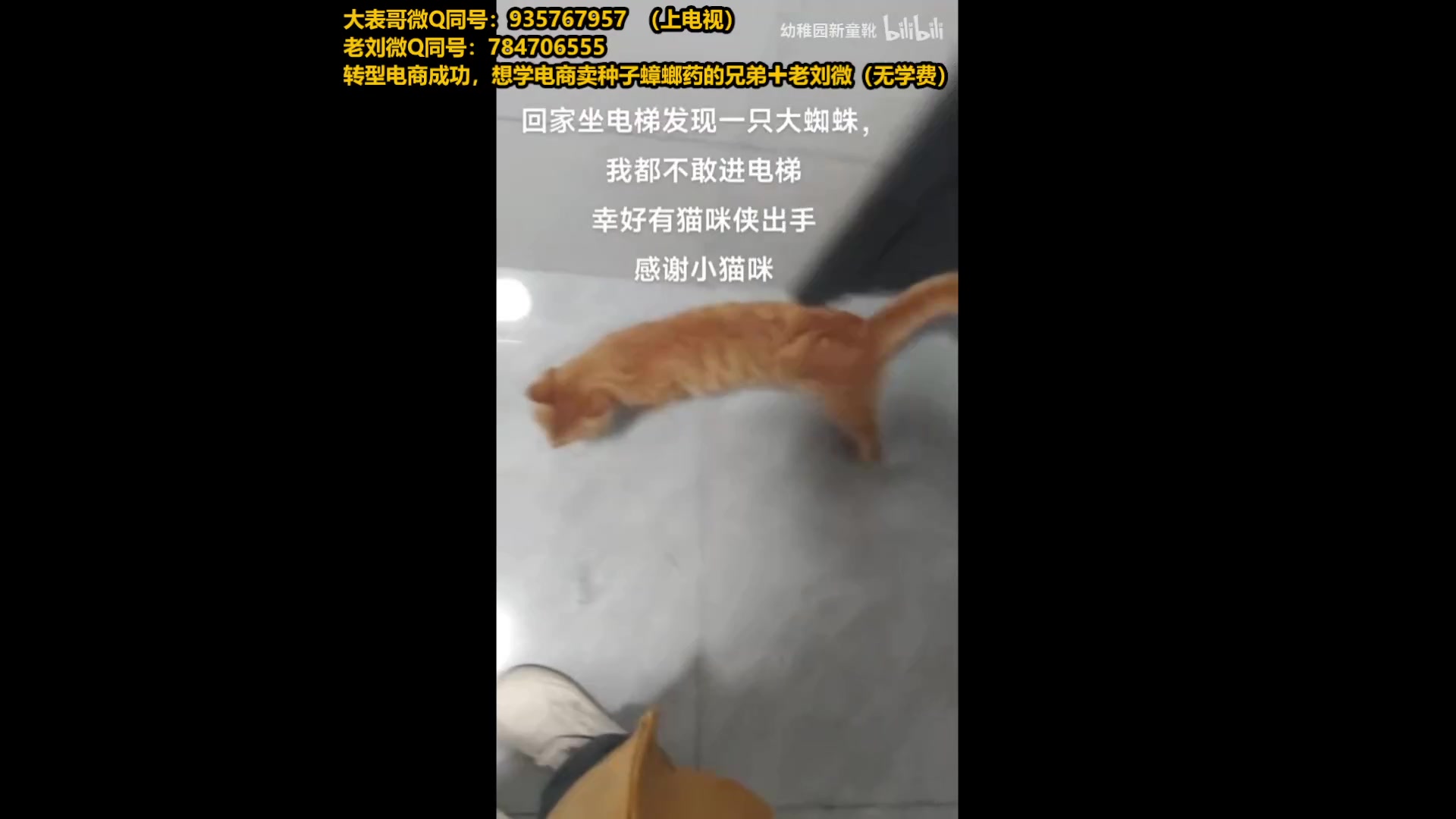 【2025-04-27 10点场】旋转的老刘诺手：第一诺手 青龙刀诺手战神！