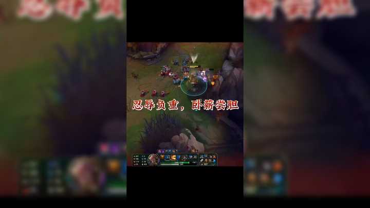 忍辱负重，卧薪尝胆