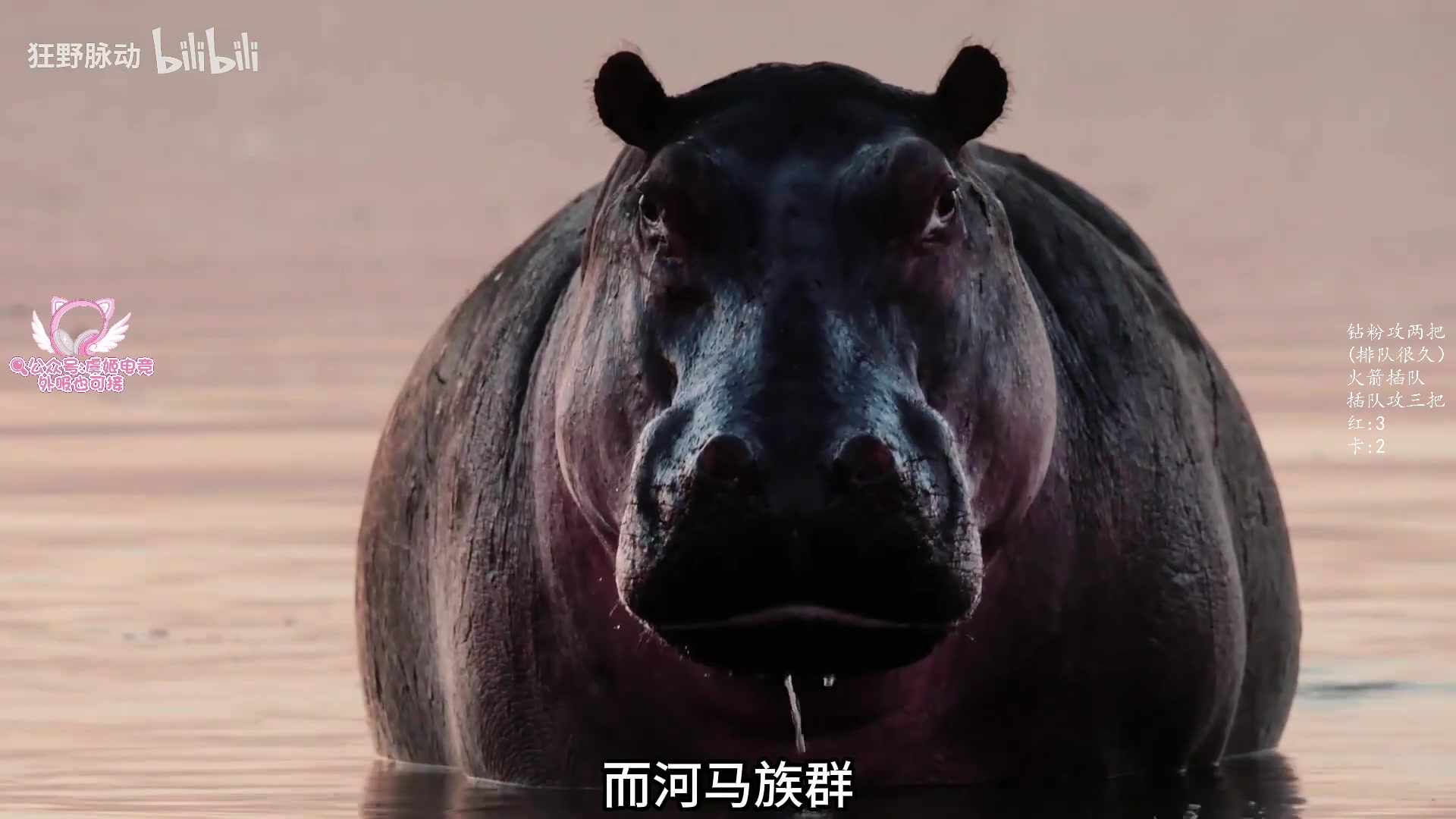 【2025-05-11 19点场】三酒OuO：风吹哪页读哪页。