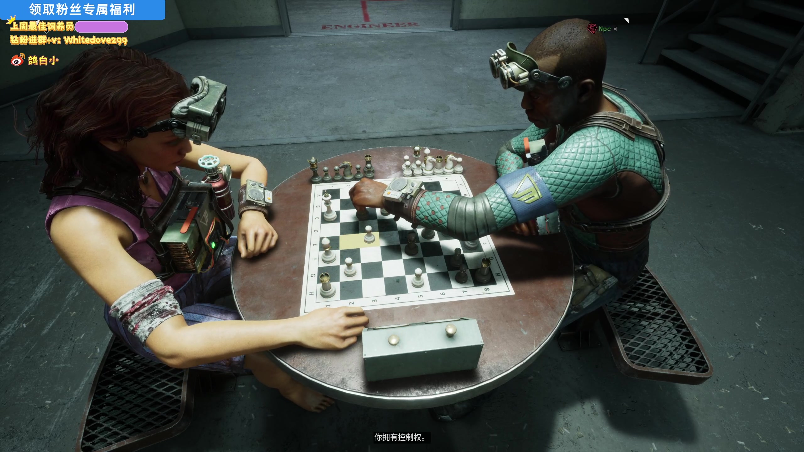 【2025-05-12 20点场】小白鸽WhiteDove：【小白鸽】下午好 小宝们