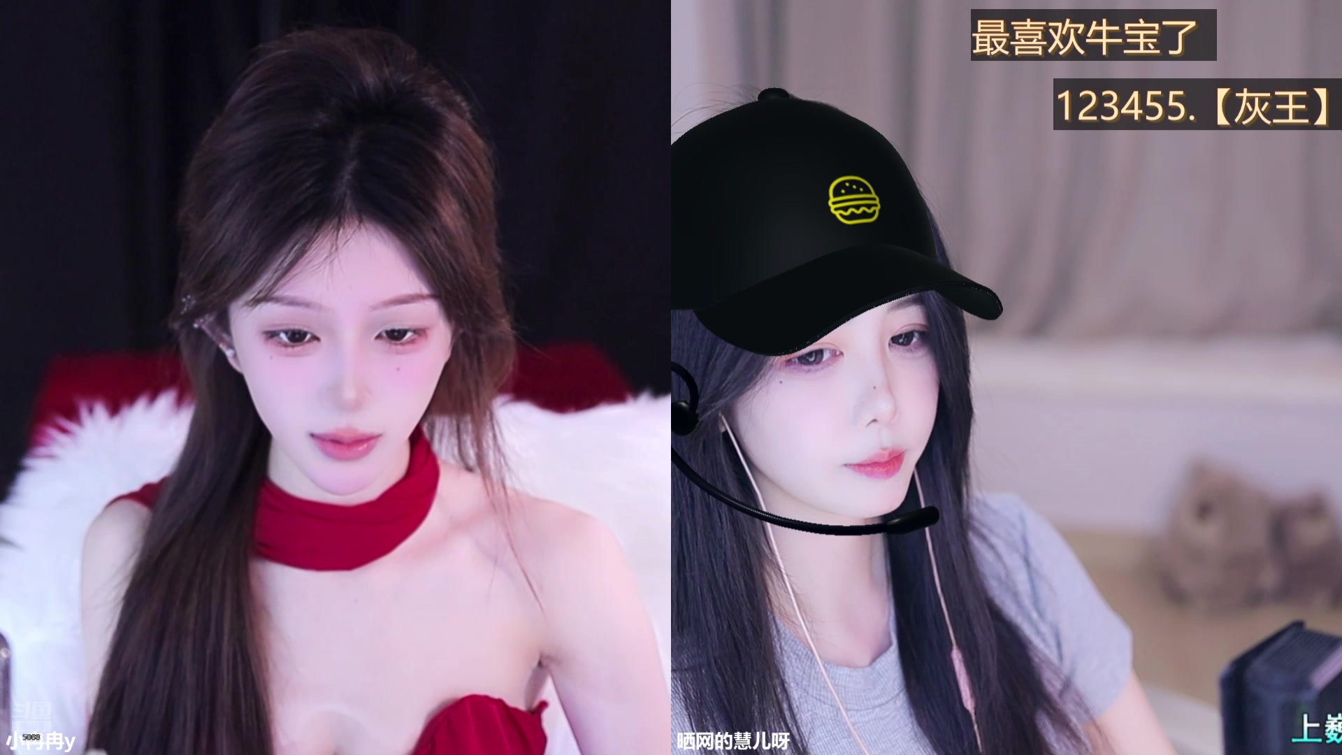 【2025-05-12 16点场】晒网的慧儿呀：小狗一直在这哦~