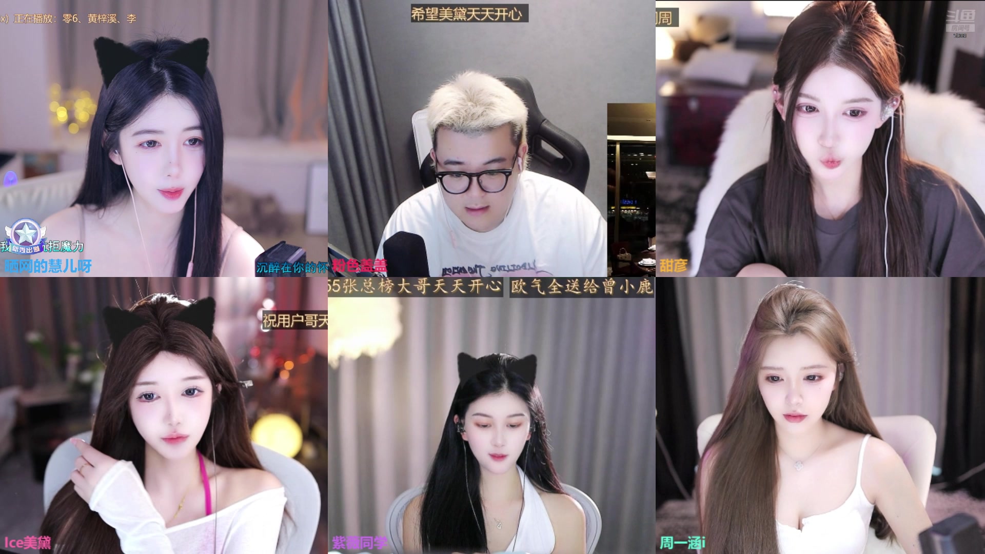 【2025-05-14 14点场】晒网的慧儿呀：小狗一直在这哦~