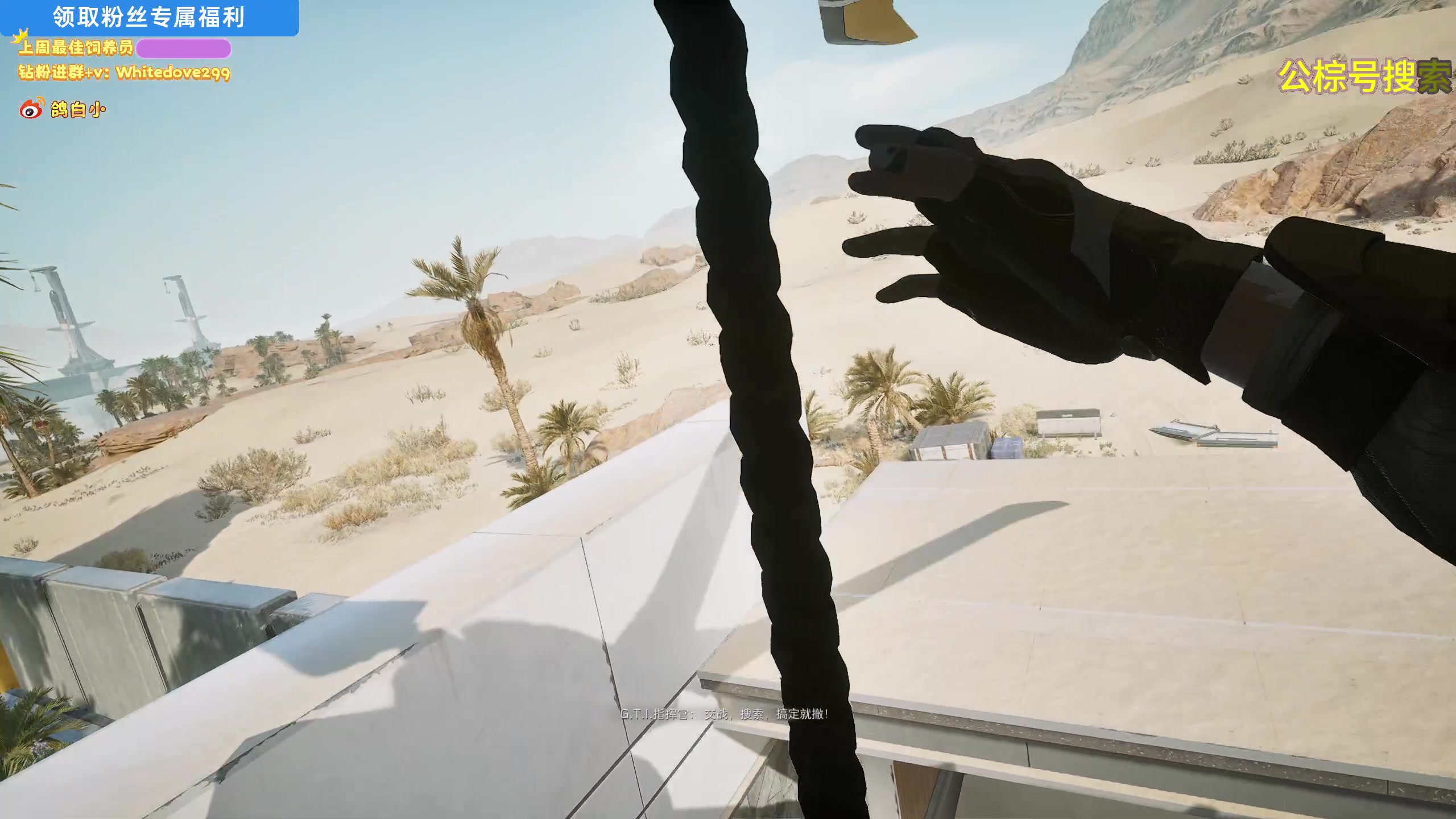 【2025-05-14 04点场】小白鸽WhiteDove：【小白鸽】下午好 小宝们