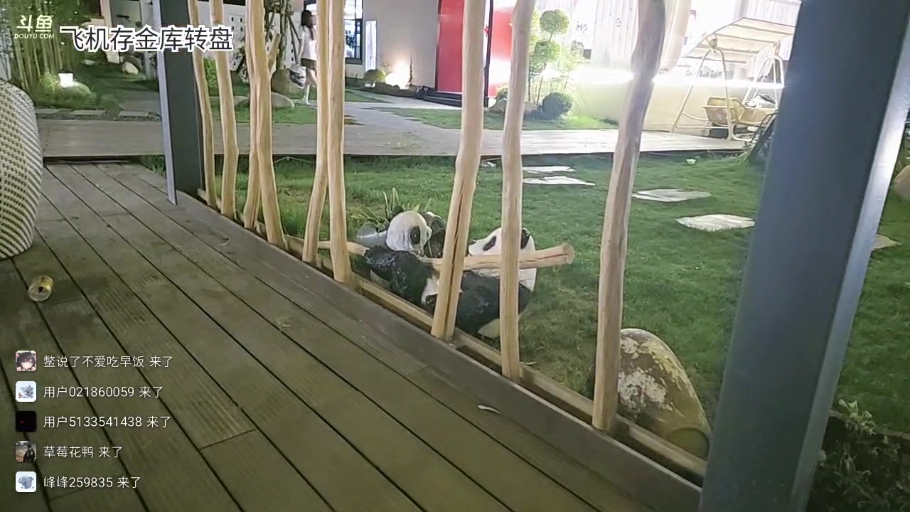 【2025-05-14 01点场】王大谋119：开心最重要！ 11222