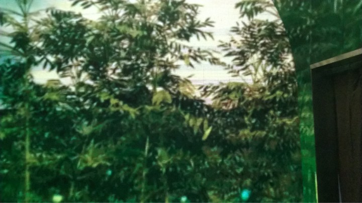一包浣熊拉面