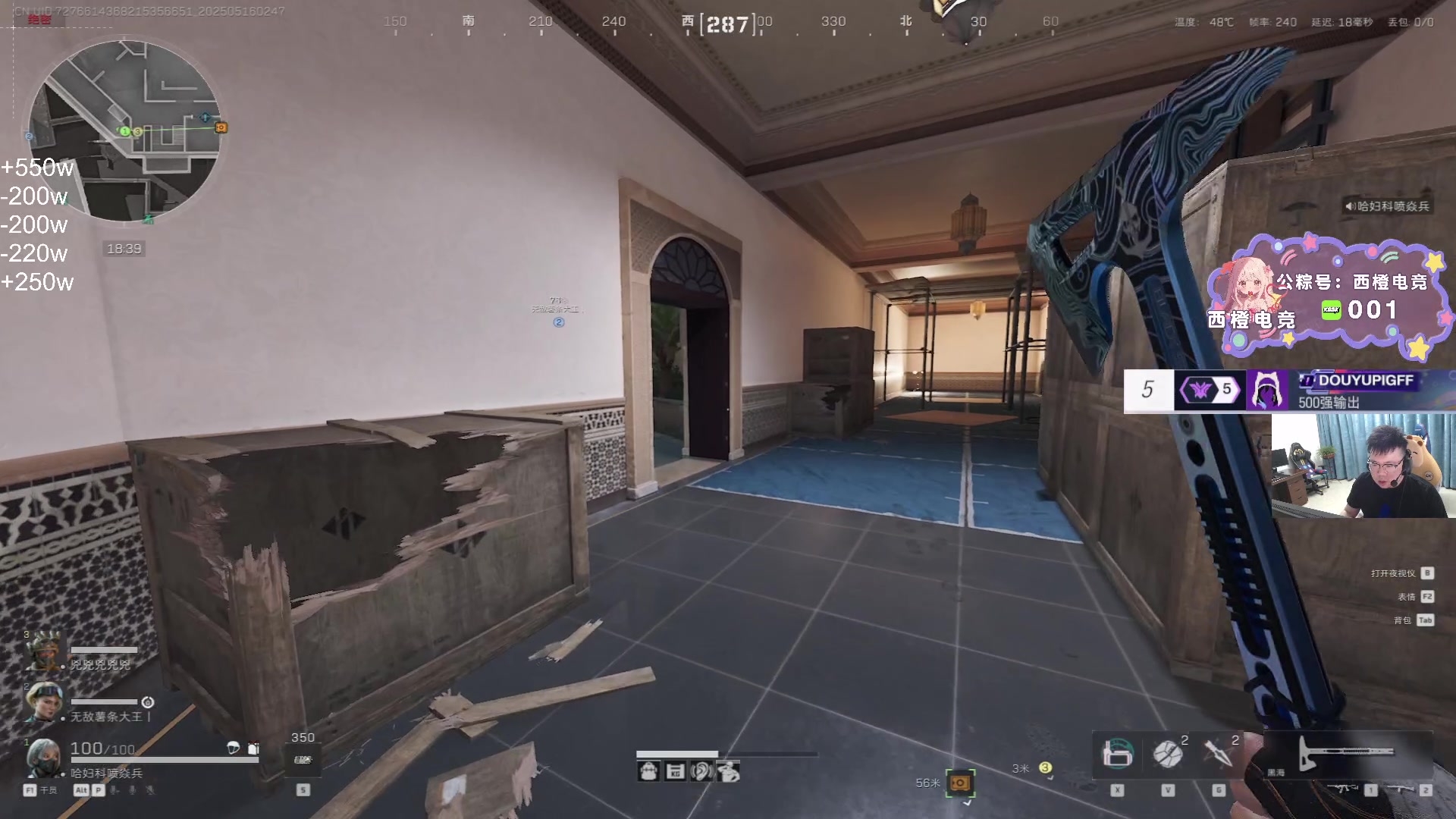 【2025-05-16 02点场】pigff：【PIGFF】PUBG忠犬