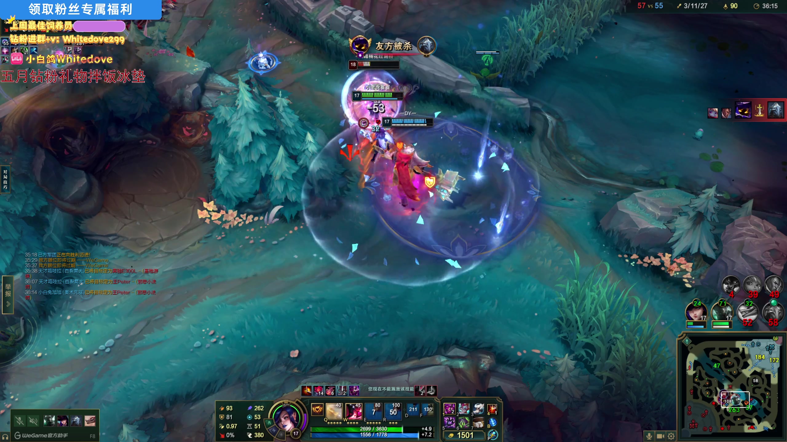 【2025-05-19 23点场】小白鸽WhiteDove：【小白鸽】今天自由活动！