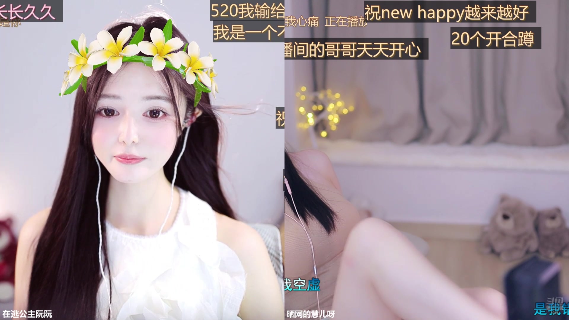 【2025-05-20 16点场】晒网的慧儿呀：小狗一直在这哦~