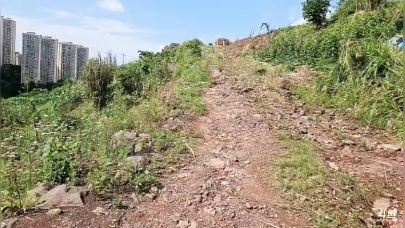 【2025-05-22 15点场】逐梦兄弟：14点开播