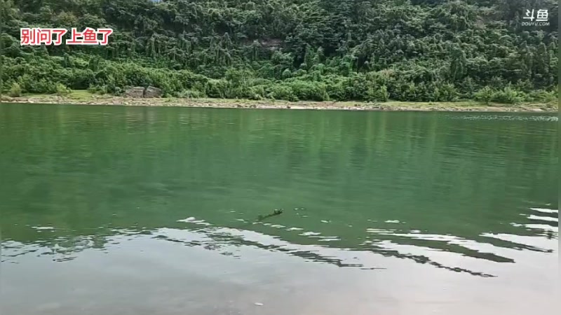 【2025-05-24 18点场】逐梦兄弟：回趟老家，