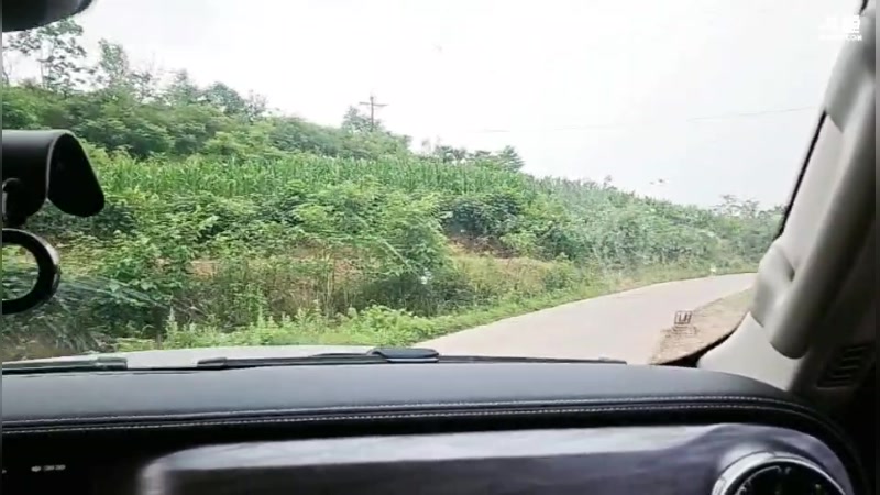 【2025-05-24 08点场】逐梦兄弟：回趟老家，