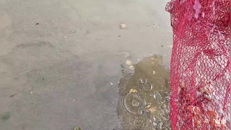 【2025-05-24 16点场】逐梦兄弟：回趟老家，