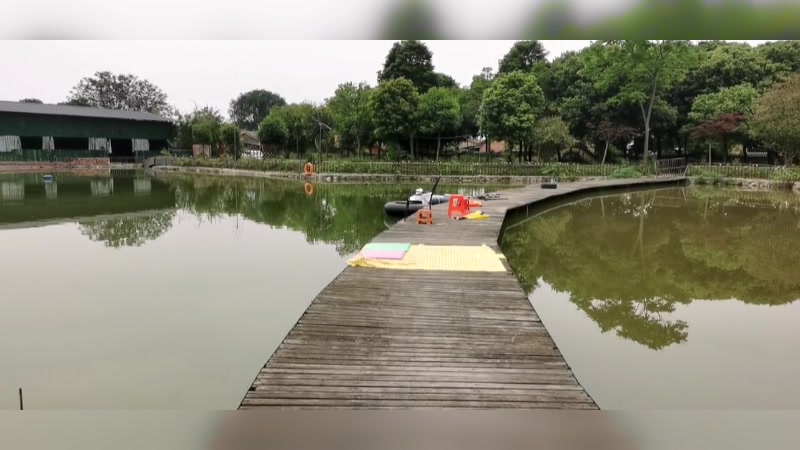 【2025-5-14 12点场】在线天文:叶子直播十周年庆典