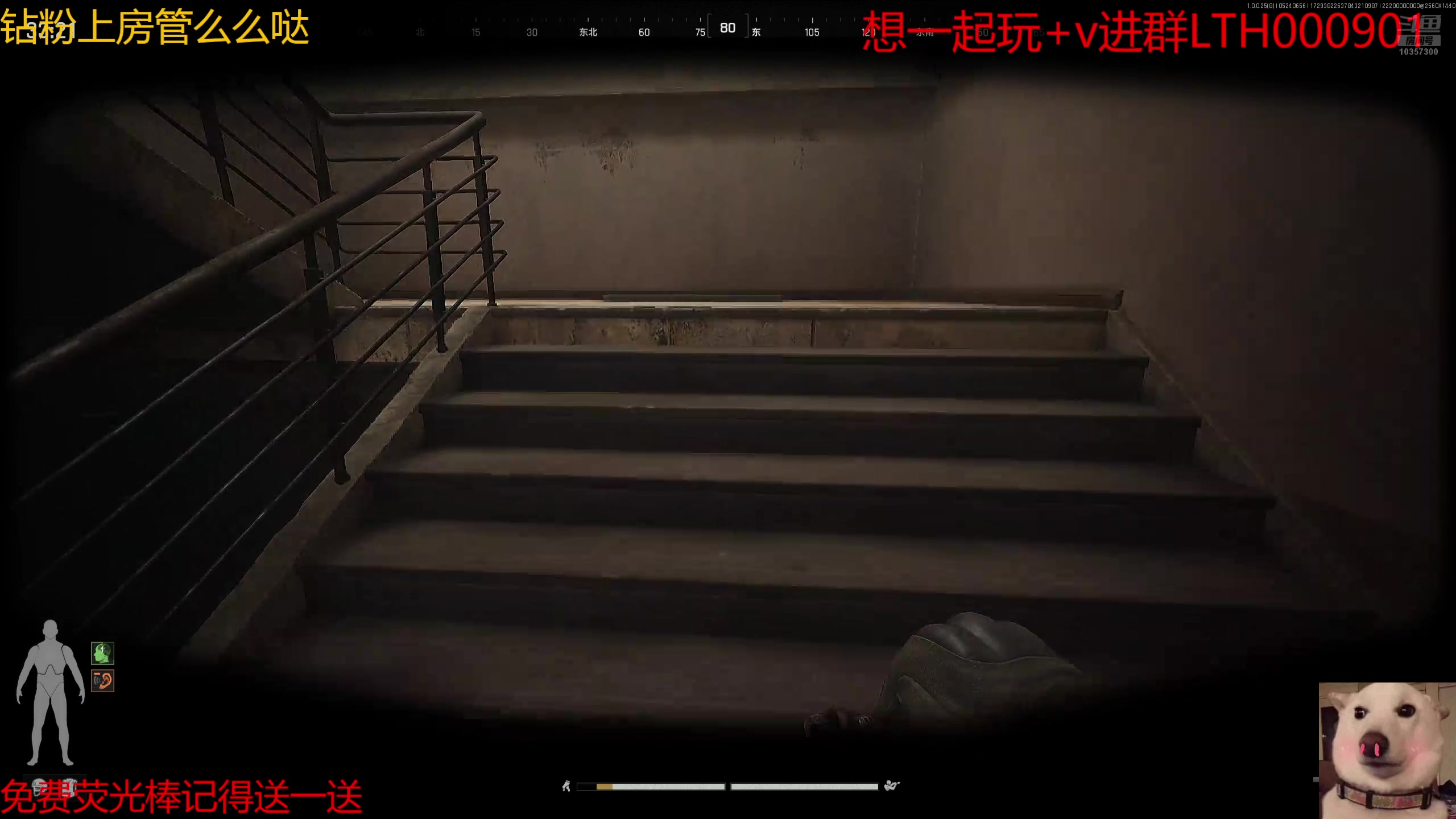 【2025-05-24 06点场】是猫咪吖丶：暗区鼠弟来咯么么哒
