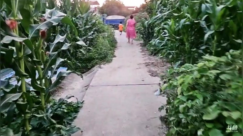 【2025-05-26 19点场】逐梦兄弟：今天晚点开播