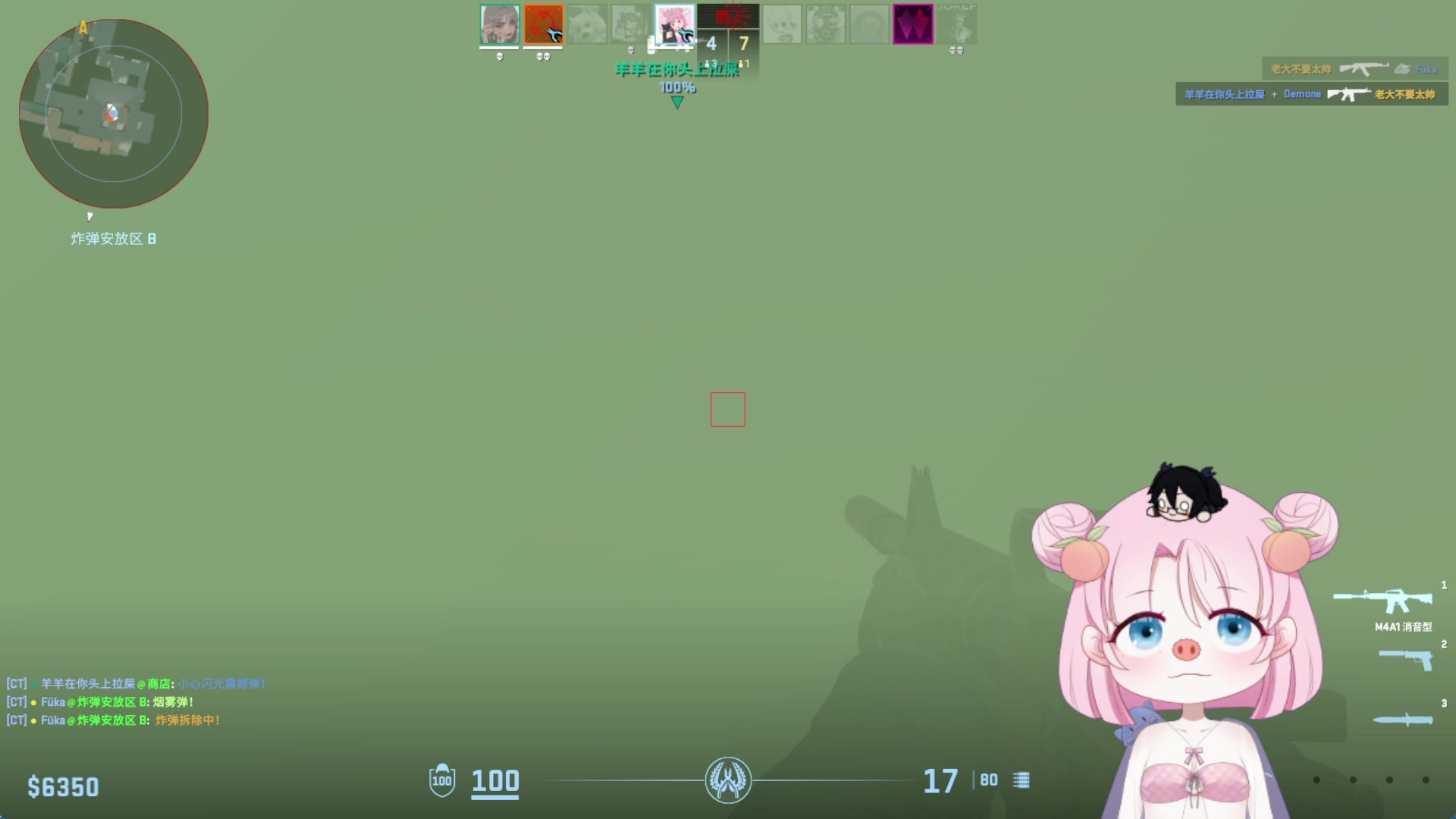 【2025-05-24 23点场】吃桃芝的猫：【小奶团】你好，欢迎回家