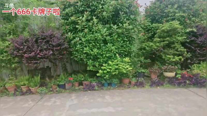 【2025-5-28 17点场】叫我好姑娘吧:梦想创造营第二季啦