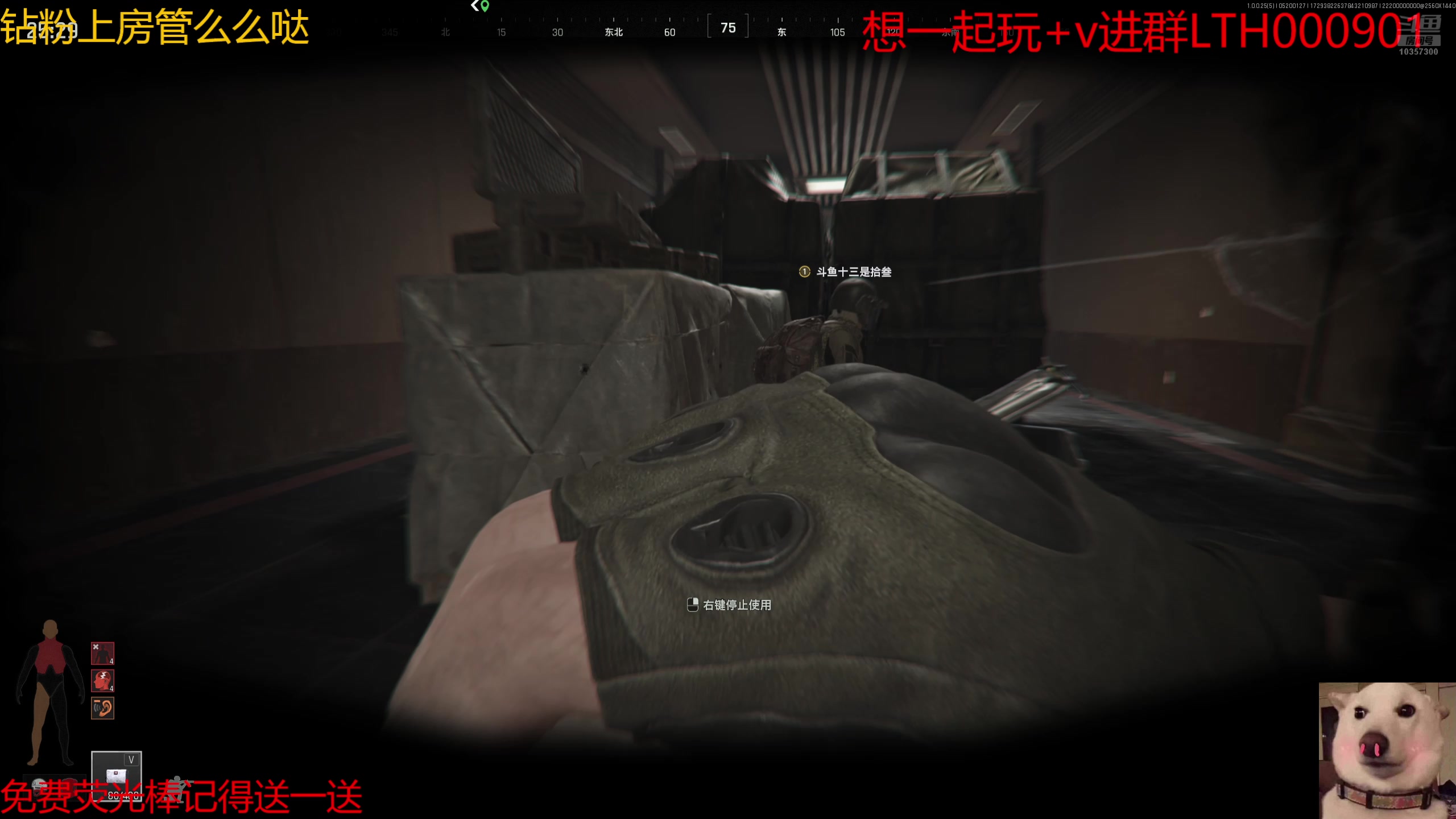 【2025-05-20 00点场】是猫咪吖丶：暗区鼠弟来咯么么哒