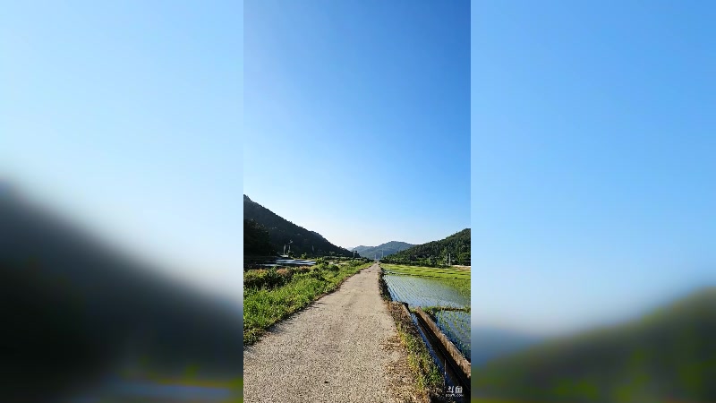 【2025-06-03 完整版】impOUO：玩会游戏呀 1399