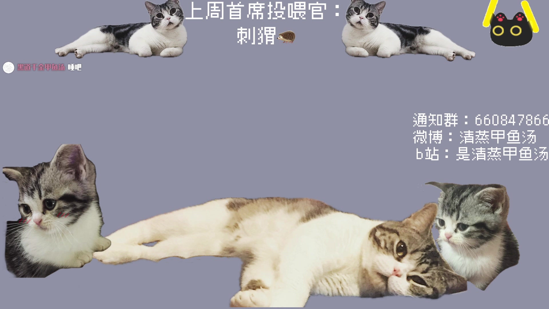 【2025-06-03 08点场】清蒸甲鱼汤：>钻粉2.5倍<先泡姆再树枝