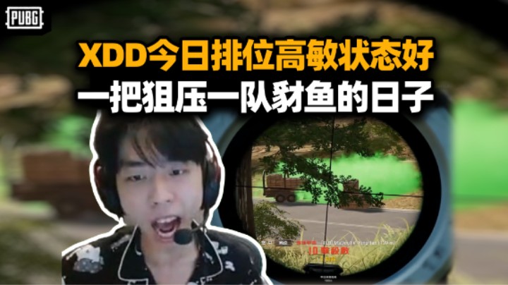 XDD开P排位训练有点骚准 职业四人团甲亢追着杀 AMR架决赛圈这谁敢露？