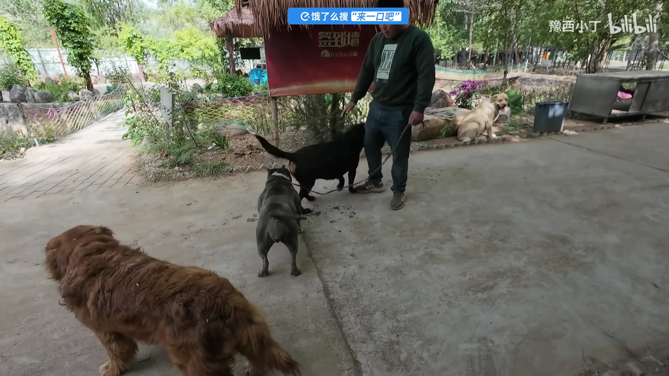 【2025-06-05 14点场】尐表哥：健康生活～