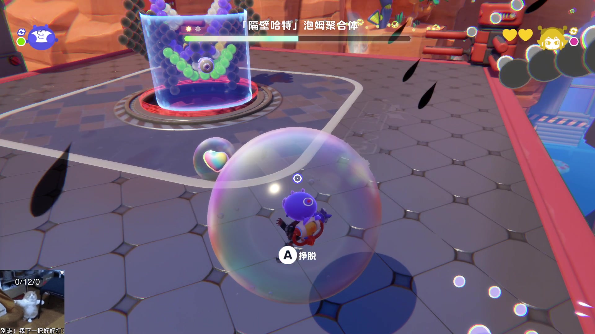 【2025-06-05 19点场】我们的渺渺：泡姆泡姆和转圈圈的肥渺