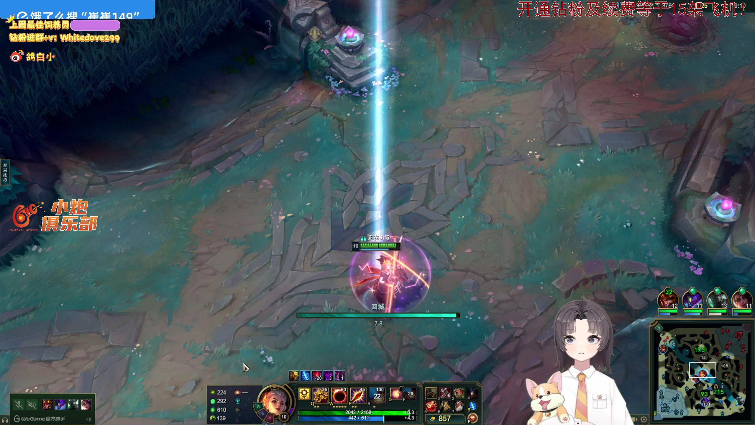 【2025-06-06 01点场】小白鸽WhiteDove：【小白鸽】来啦 小宝们！