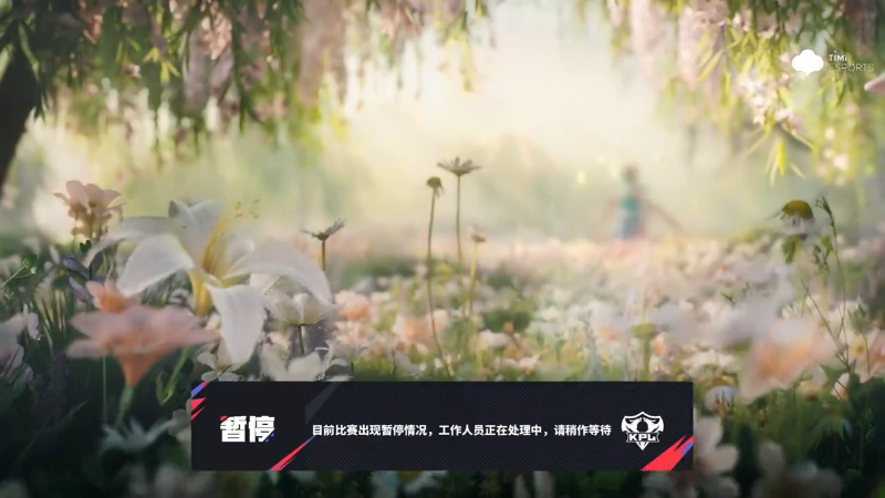 成都AG超玩会 VS 上海RNG.M第1局-2025KPL夏季赛常规赛