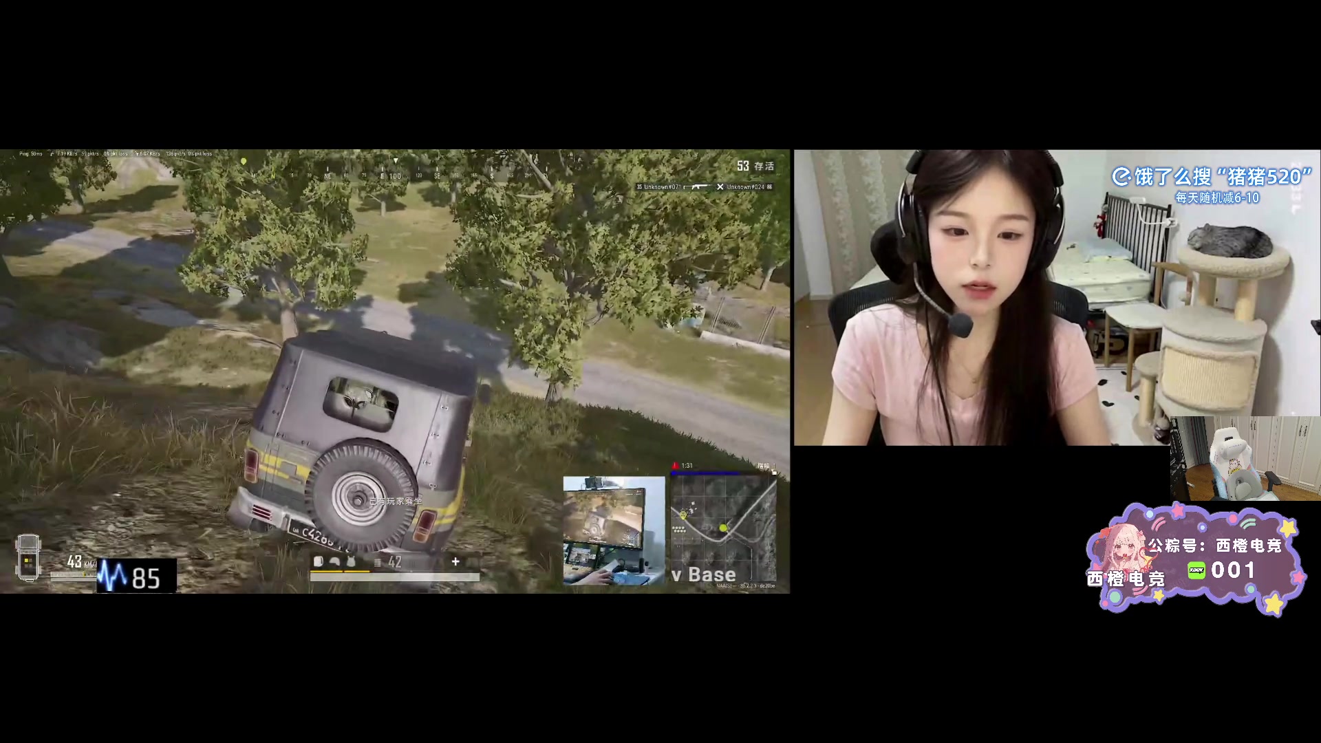 【2025-06-08 23点场】pigff：【PIGFF】PUBG忠犬