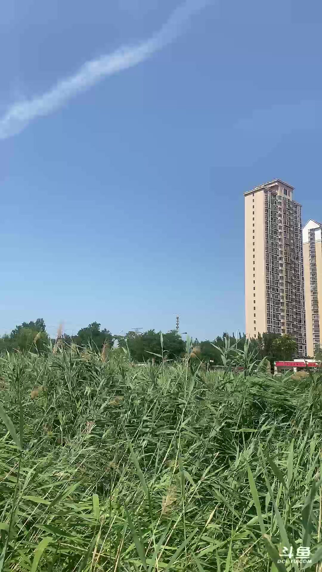 【2025-06-08 13点场】朱晓迪：yin子的饲养员