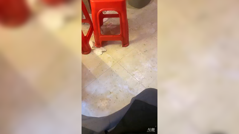 【2025-06-15 23点场】朱晓迪：yin子的饲养员