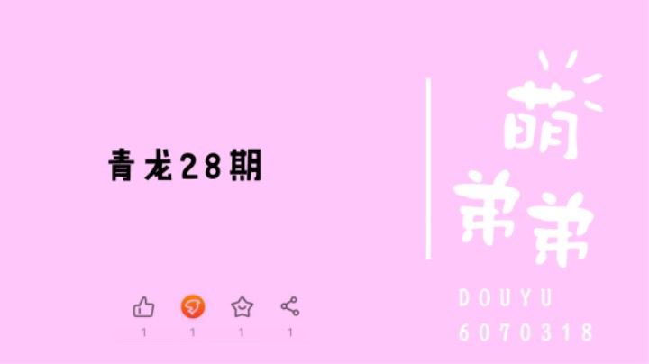青龙28期