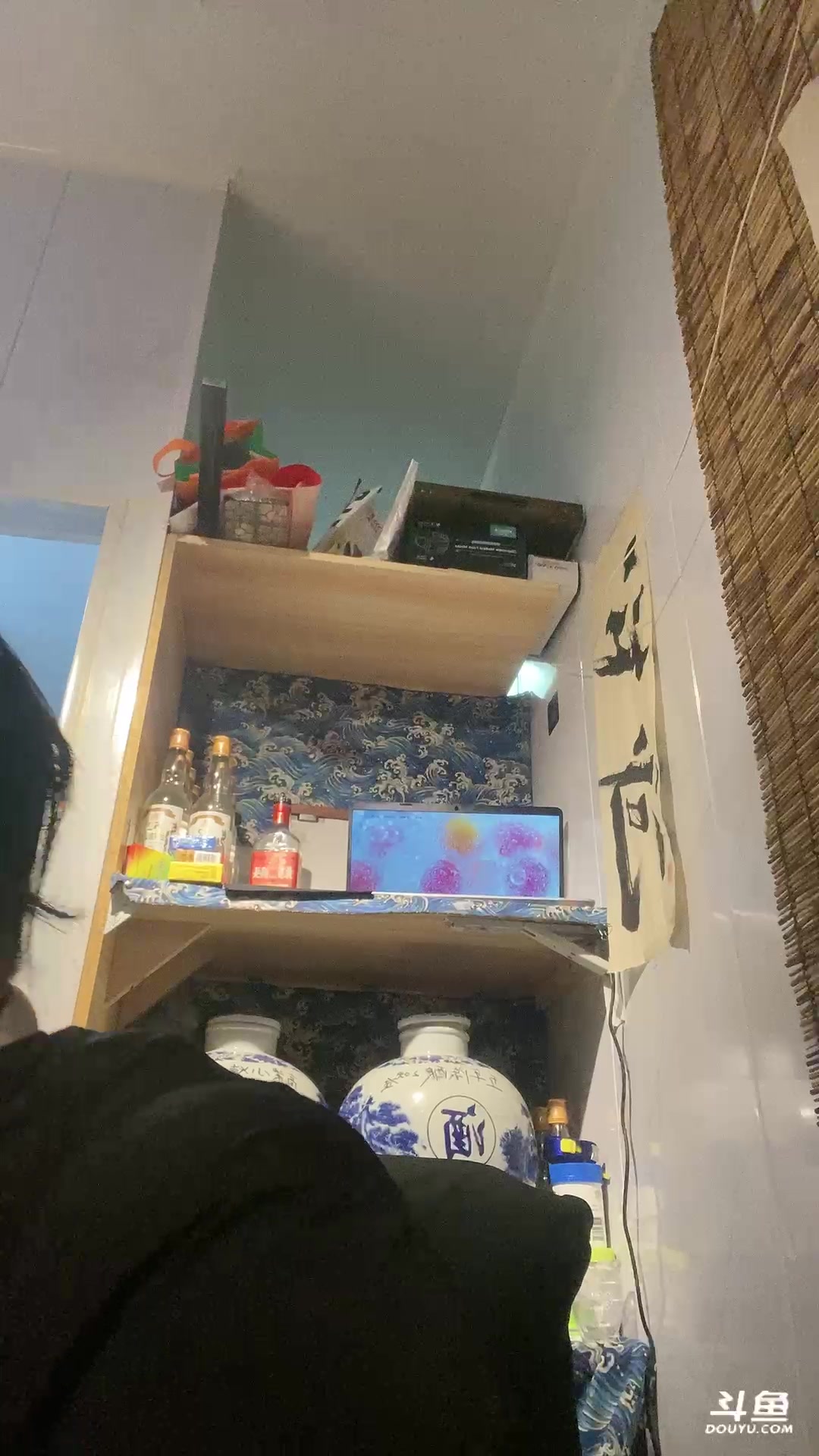 【2025-06-18 18点场】朱晓迪：yin子的饲养员