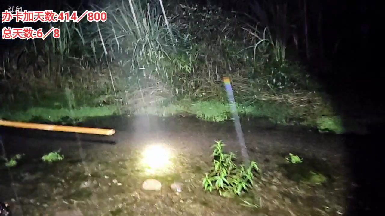 【2025-06-20 19点场】逐梦兄弟：《荒野求生-巫山行》day7