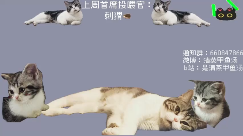 【2025-06-18 22点场】清蒸甲鱼汤：甲鱼：复习618物流工作