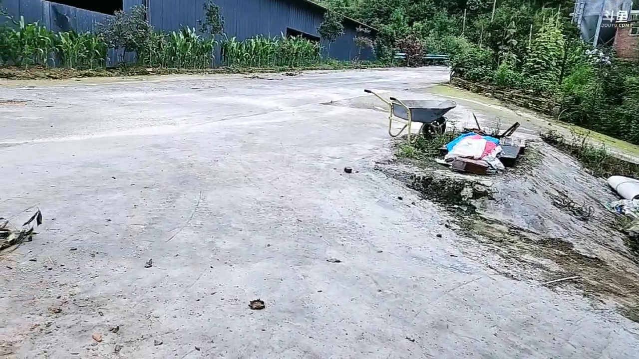 【2025-06-23 13点场】逐梦兄弟：粉丝节我来了