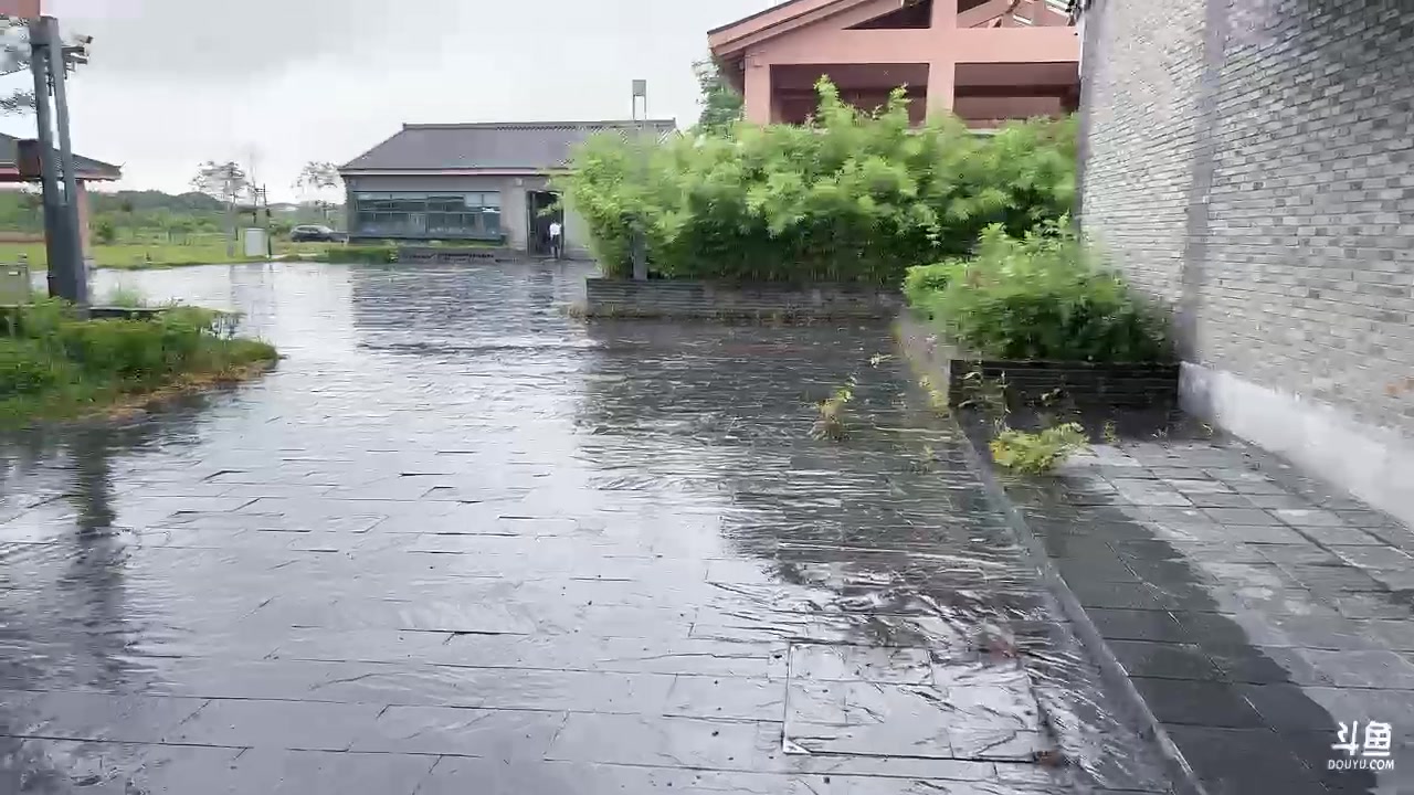 【2025-06-23 14点场】主播阿郎：320郎团火凤凰集训Day18
