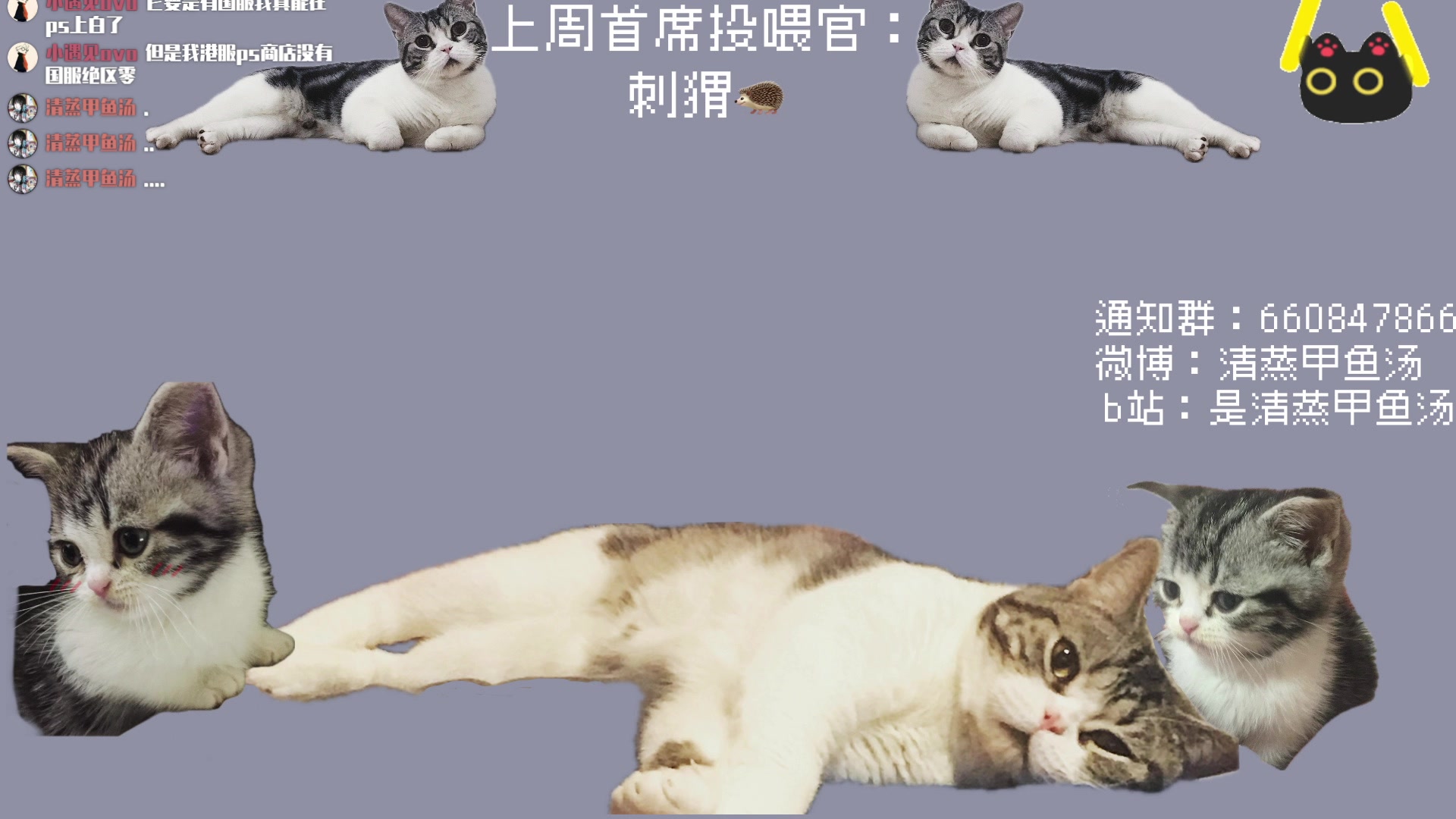 【2025-06-27 03点场】清蒸甲鱼汤：甲鱼：给澳大利亚带来一些基建震撼