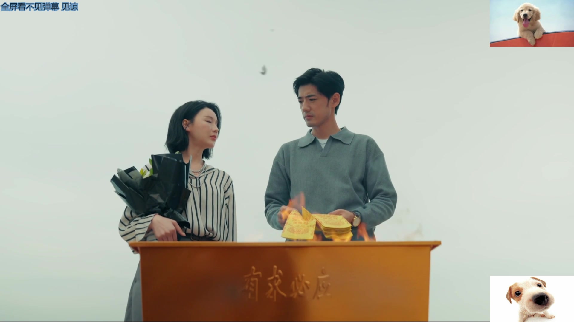 【2025-06-29 22点场】帅帅的汪团：早起的汪团被人锤