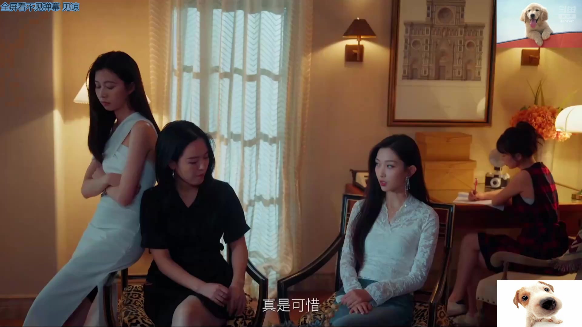 【2025-06-30 08点场】帅帅的汪团：早起的汪团被人锤