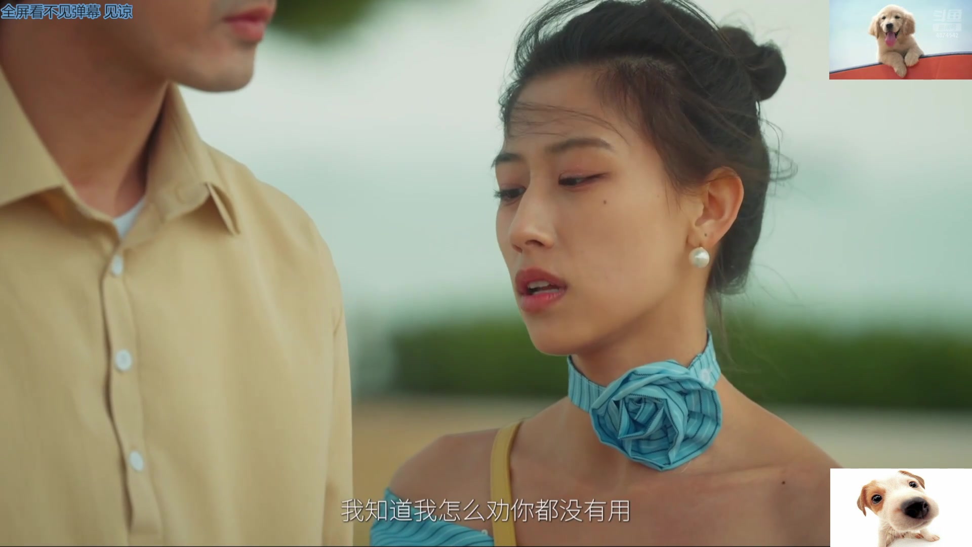 【2025-06-29 20点场】帅帅的汪团：早起的汪团被人锤
