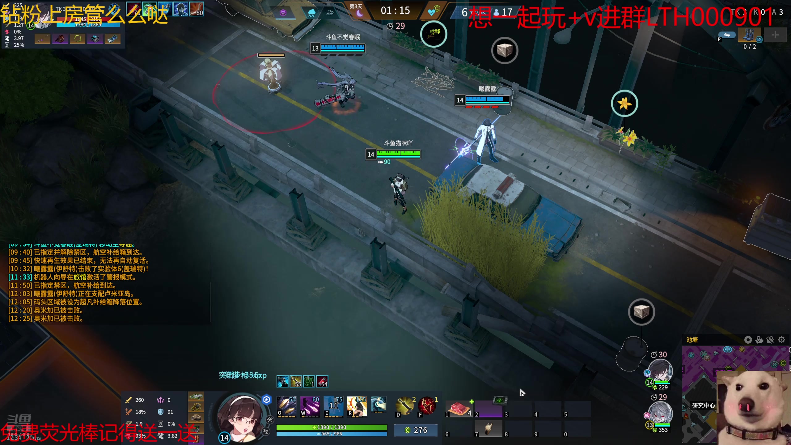 【2025-07-01 05点场】是猫咪吖丶：老鼠大王回来咯么么哒
