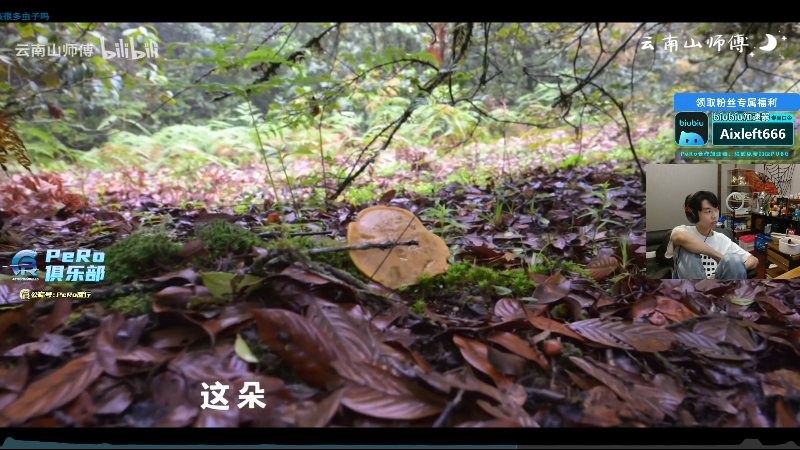 这是我剪辑的Xleft小叮当的直播精彩时刻，快来看看吧~