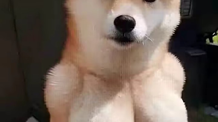 【午夜行者】哎哟我次奥，哪哪都是人