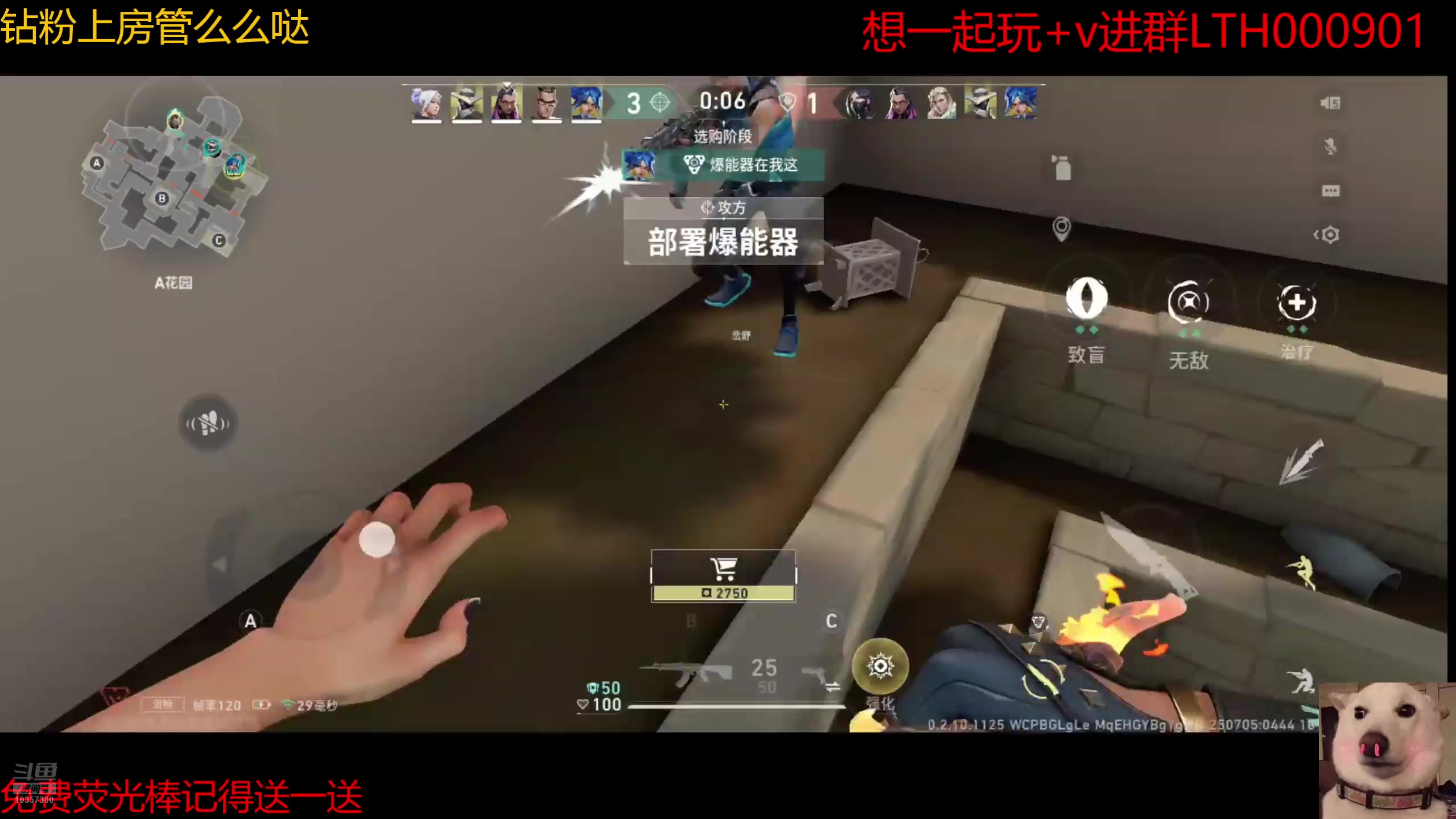 【2025-07-05 04点场】是猫咪吖丶：瓦学弟来咯么么哒