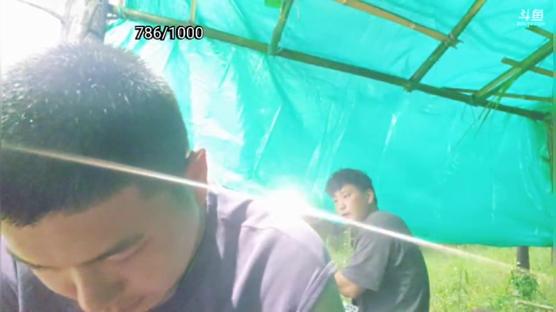 【2025-07-08 19点场】王大谋119：荒野求生之男人与狗-day2 11222